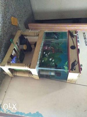 Rectangular Beige Wooden Framed Fish Tank full set at low