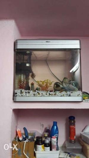 Rectangular Grey Frame Fish Tank