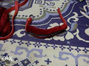 Red dog belt