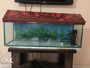 3 feet Fish Aquarium with SOBO filter