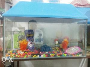 36x15x12 fishTank With Blue cap and accessories