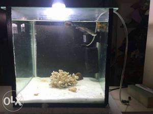 Aquarium tank for sale and free fliter motor