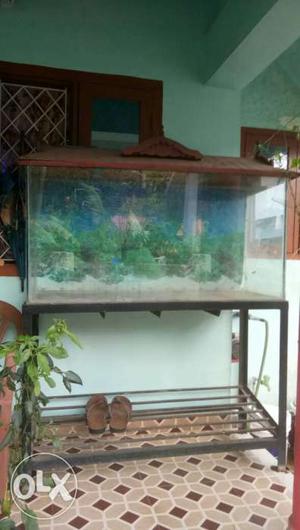 Aquarium with top, light and stand