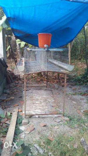 Breeding Cage for hens