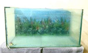 Fish Tank along with top roof like cover for Sale