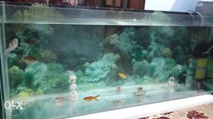 Fish aquarium with 13 fish double filter and