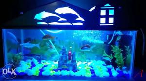 Fish tank 2x1 size. with all accessories..