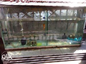 Fish tank 4 by 2 fit, patra, patishan mirror only