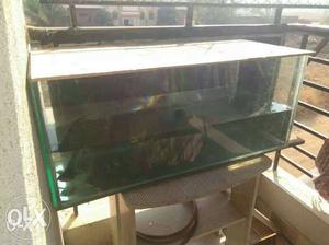 Fish tank 4ft by 1 1/2.Also a black shark fish 4