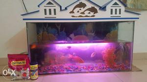 Fish tank with fishes and all accessories