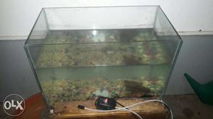 Good fish tank with 3 gold fish, air pump,stones