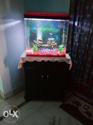 -Home Fish Aquarium with table (LXBXH)-1.5ftX1ftX1.7ft