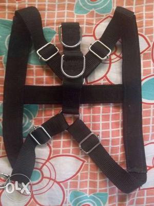 Its dog belt in collars black NO USE. still. its nylon