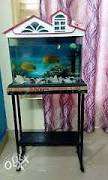Only fish tanks