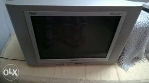 Philips 21 inch flat screen tv