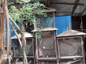Three Brown And Gray Pet Cages