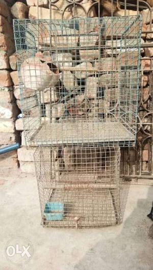 Two Steel Bird Cages