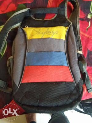 Black, Red, Blue, And Grey Striped Skybag Backpack