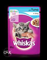 Cat food and tika.available