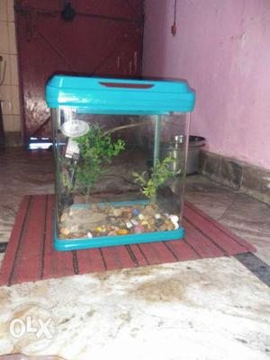Clear Plastic Pet Cage With Blue Plastic Frame