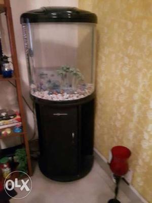 Cylindrical Black Framed Pet Tank With Cabinet