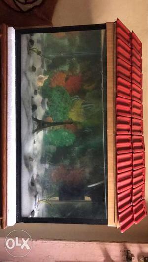 Fish tank 2ft x 1ft x 1ft with top cover