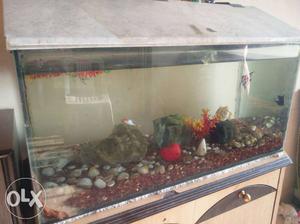 Fish tank 30 inch × 15 inch size