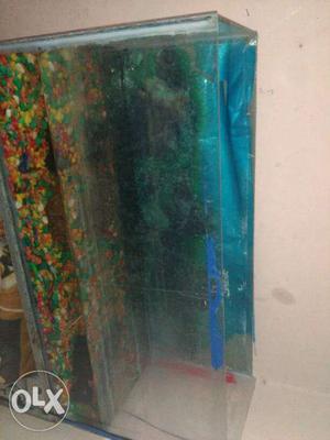 Fish tank (aquarium) very big with iron stand