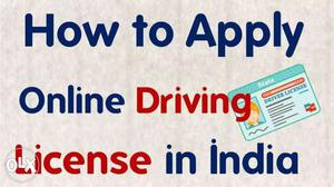 Driving Licence ID