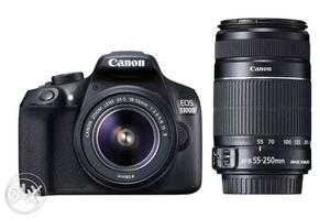 For Rent, Canon d 50mm,  Mm Big Lans