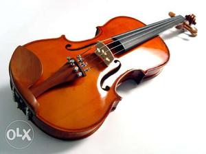 Violin good condition...pavaratty eight seven