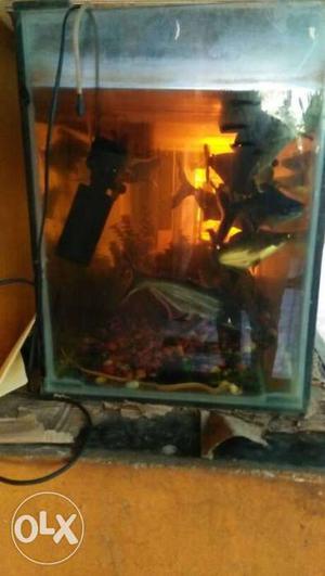 12 black with gray shark fishs and water proof