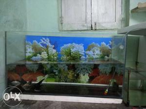 2.6 feet tank for selling