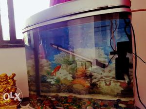 2 ft long imported aquarium with light and oxygen