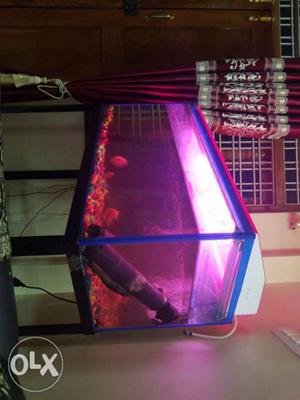 Aquarium with stones filter heater. iron stand