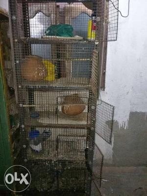Birds cage for sale total 5rake
