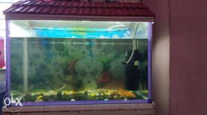 Fish tank 2ft 1 pair fish power filter oxygen