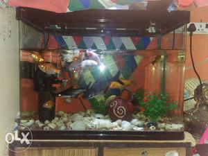 Fish tank for sell and good condition