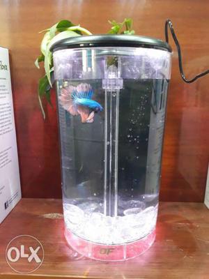 You can put 2 Betta fish and can make a lovely