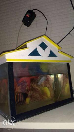  inches aquarium with 1 fish and air pump