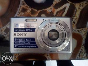 Sony Cyber Shot 14.1 megapixel with all