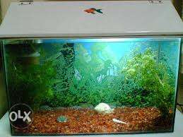 15 litr fish tank for sale