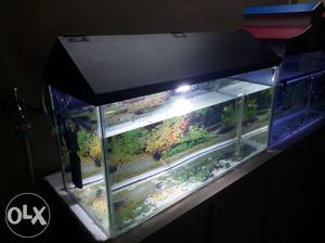 2.5 Feet Fish Tank with Sand Filter & Top Cover