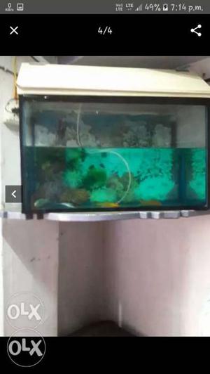 2feet fish tank