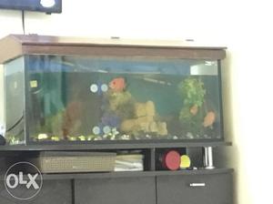 3 feet fish tank with 2 light 1 heater plants