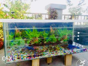 4ft long by 2 ft fish tank with cover with stones
