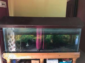 5 and half feet fish tank with accessories and