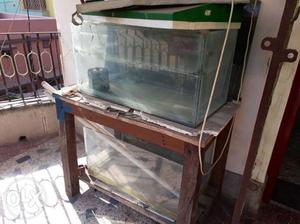 7 aquarium of different size to sell.