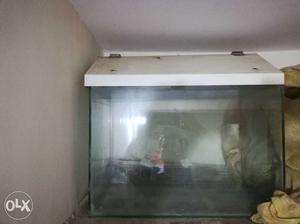 A perfect condition and white Roof Aquarium