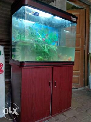 Aquarium Big size and 6 imported fish 4mnth old
